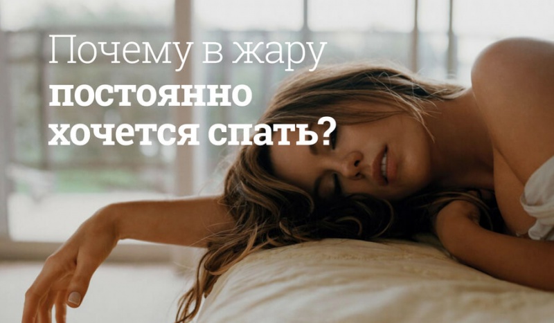 Блог компании Мегаптека.ру: Почему в жару постоянно хочется спать?