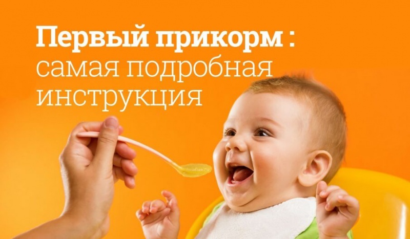 Блог компании Мегаптека.ру: Первый прикорм: самая подробная инструкция