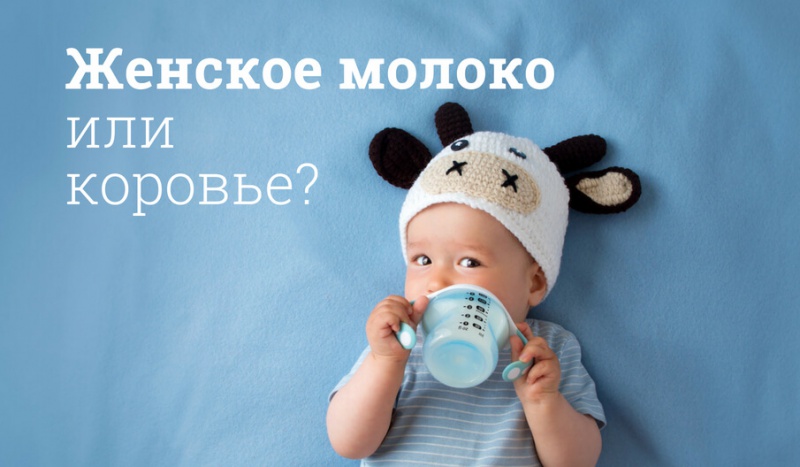 Блог компании Мегаптека.ру: Женское молоко или коровье?