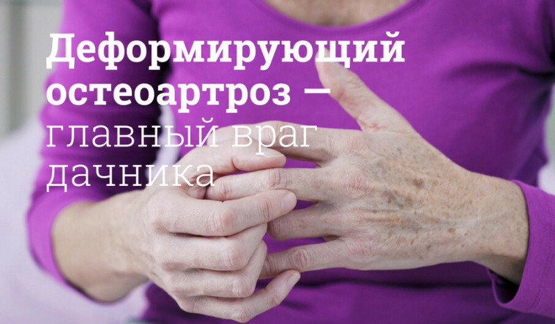 Блог компании Мегаптека.ру: Деформирующий остеоартроз – главный враг дачника
