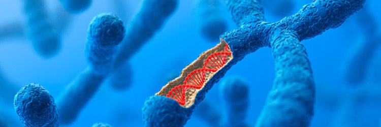 Инновации: Инвесторы ставят на синтез ДНК для жизни и хранения данных